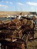 Fishermans Baskets Dysart Harbour